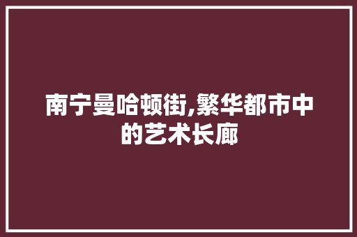 南宁曼哈顿街,繁华都市中的艺术长廊  第1张