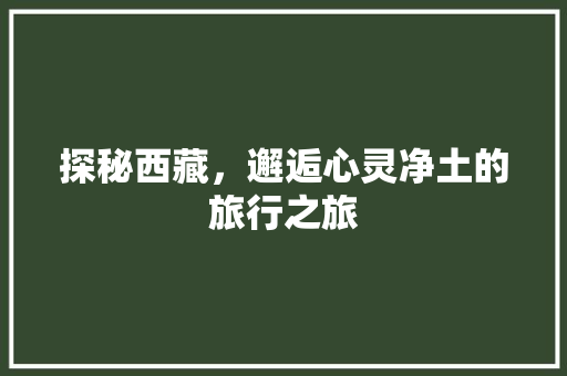探秘西藏，邂逅心灵净土的旅行之旅  第1张