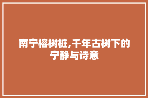 南宁榕树桩,千年古树下的宁静与诗意  第1张