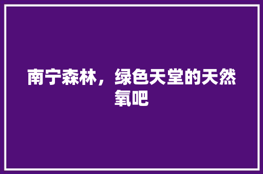 南宁森林，绿色天堂的天然氧吧
