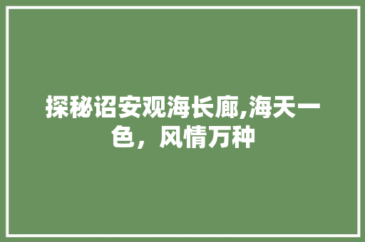 探秘诏安观海长廊,海天一色，风情万种