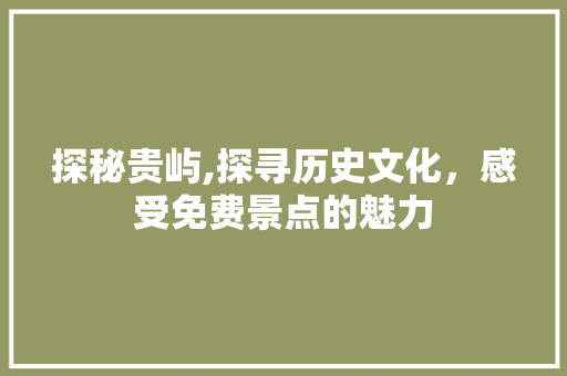 探秘贵屿,探寻历史文化，感受免费景点的魅力