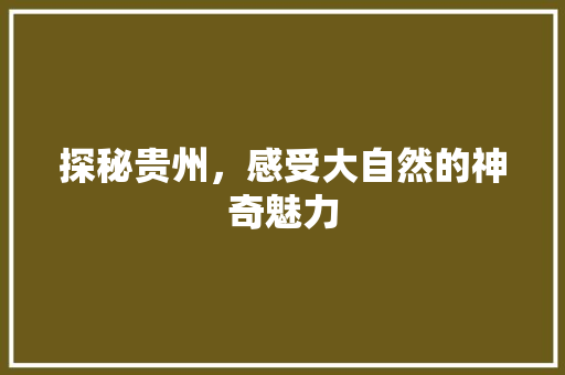 探秘贵州，感受大自然的神奇魅力  第1张