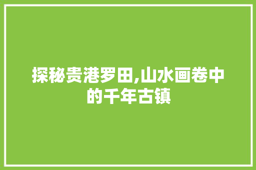 探秘贵港罗田,山水画卷中的千年古镇  第1张