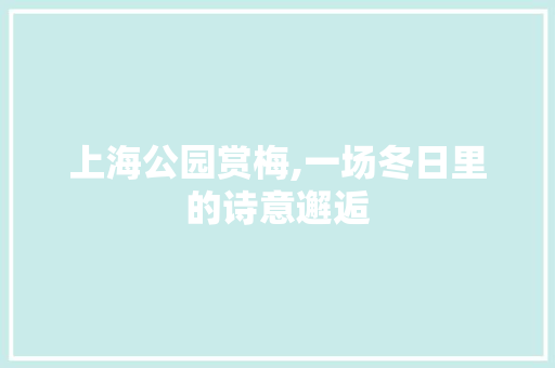 上海公园赏梅,一场冬日里的诗意邂逅  第1张