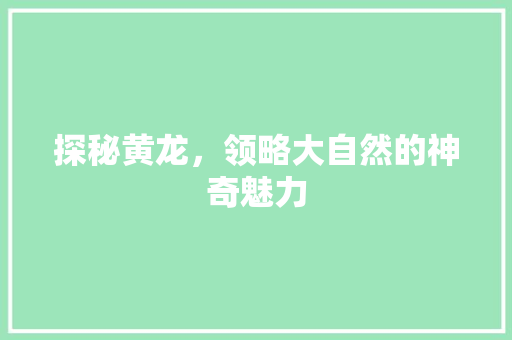 探秘黄龙，领略大自然的神奇魅力  第1张