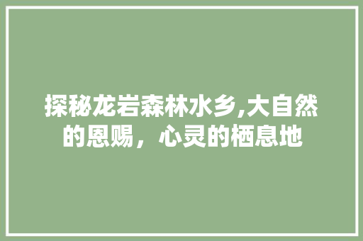 探秘龙岩森林水乡,大自然的恩赐，心灵的栖息地