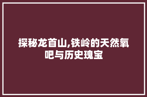 探秘龙首山,铁岭的天然氧吧与历史瑰宝