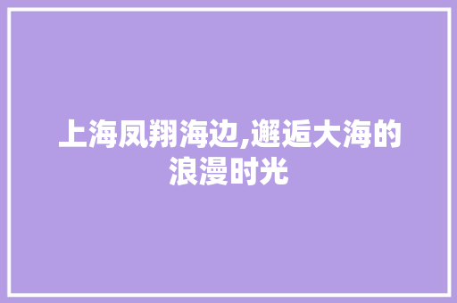 上海凤翔海边,邂逅大海的浪漫时光  第1张