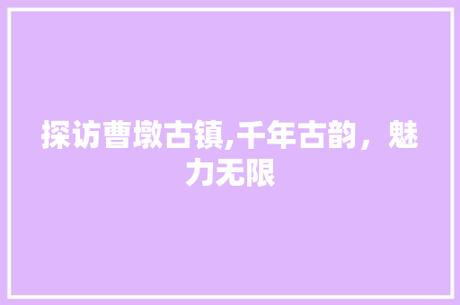 探访曹墩古镇,千年古韵，魅力无限  第1张