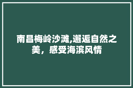 南昌梅岭沙滩,邂逅自然之美，感受海滨风情  第1张