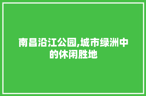 南昌沿江公园,城市绿洲中的休闲胜地  第1张