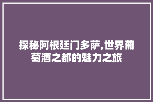 探秘阿根廷门多萨,世界葡萄酒之都的魅力之旅