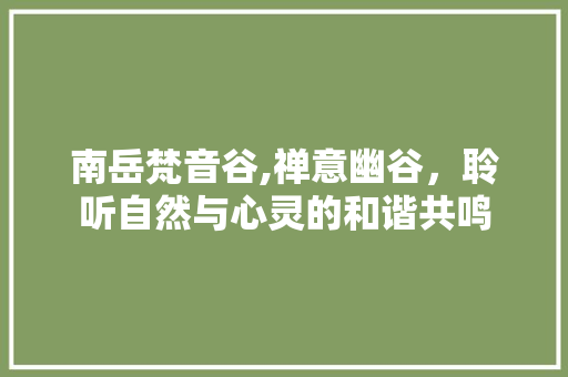 南岳梵音谷,禅意幽谷，聆听自然与心灵的和谐共鸣  第1张