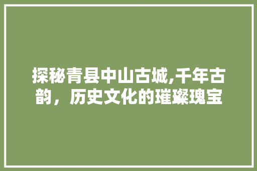 探秘青县中山古城,千年古韵，历史文化的璀璨瑰宝  第1张