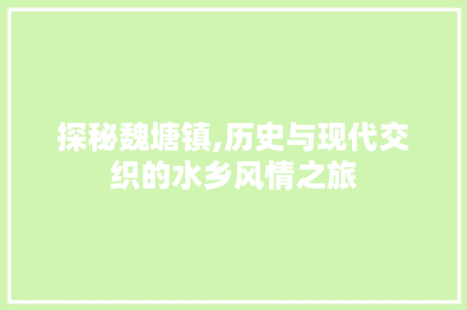 探秘魏塘镇,历史与现代交织的水乡风情之旅  第1张