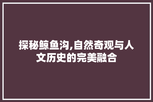 探秘鲸鱼沟,自然奇观与人文历史的完美融合