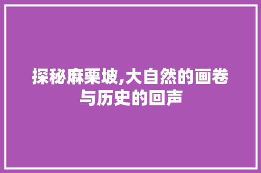 探秘麻栗坡,大自然的画卷与历史的回声