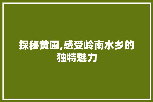 探秘黄圃,感受岭南水乡的独特魅力