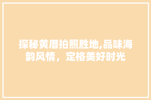 探秘黄厝拍照胜地,品味海韵风情，定格美好时光