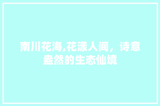 南川花海,花漾人间，诗意盎然的生态仙境  第1张