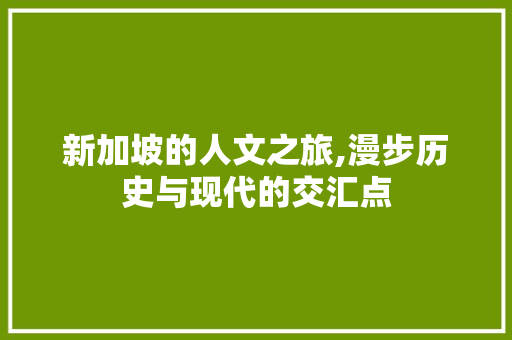 新加坡的人文之旅,漫步历史与现代的交汇点