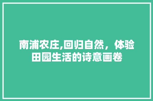 南浦农庄,回归自然，体验田园生活的诗意画卷