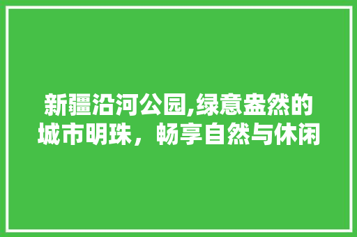 新疆沿河公园,绿意盎然的城市明珠，畅享自然与休闲的完美融合