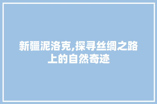 新疆泥洛克,探寻丝绸之路上的自然奇迹