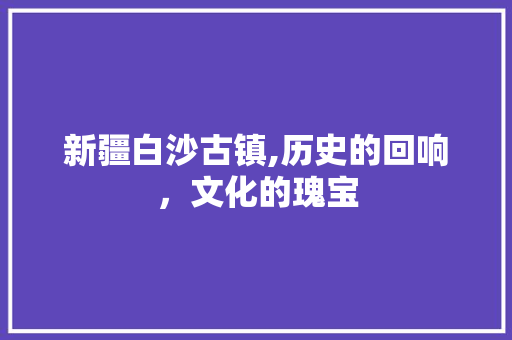 新疆白沙古镇,历史的回响，文化的瑰宝