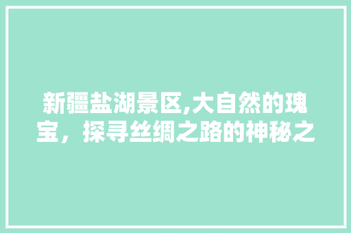 新疆盐湖景区,大自然的瑰宝，探寻丝绸之路的神秘之源