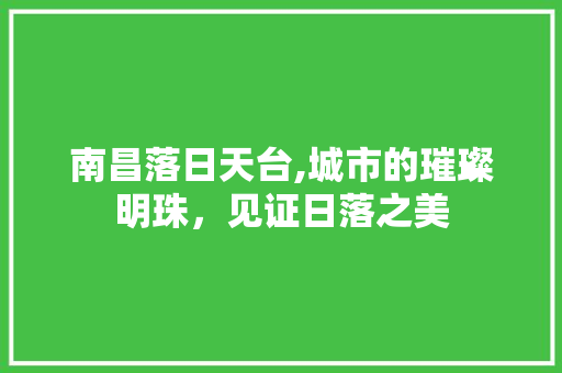 南昌落日天台,城市的璀璨明珠，见证日落之美