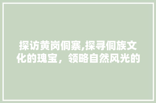 探访黄岗侗寨,探寻侗族文化的瑰宝，领略自然风光的壮美