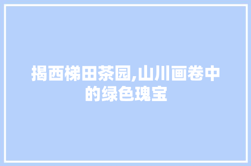 揭西梯田茶园,山川画卷中的绿色瑰宝  第1张