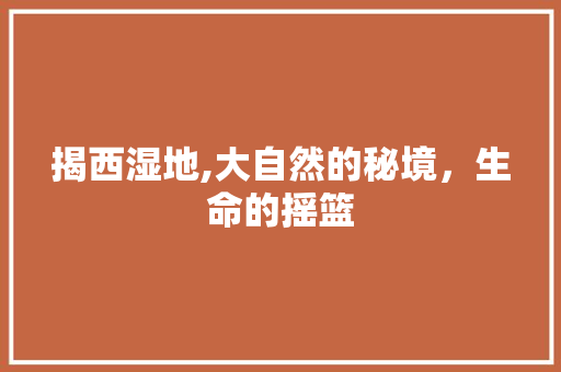 揭西湿地,大自然的秘境，生命的摇篮