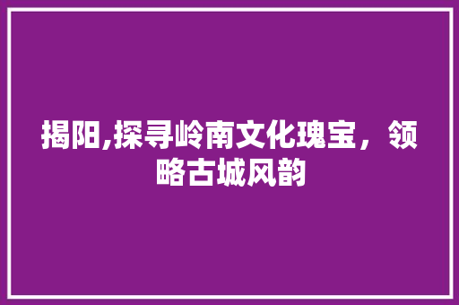 揭阳,探寻岭南文化瑰宝，领略古城风韵