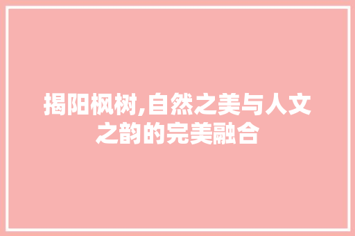 揭阳枫树,自然之美与人文之韵的完美融合