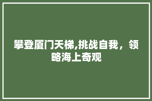 攀登厦门天梯,挑战自我，领略海上奇观