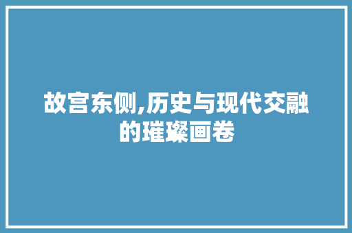 故宫东侧,历史与现代交融的璀璨画卷  第1张