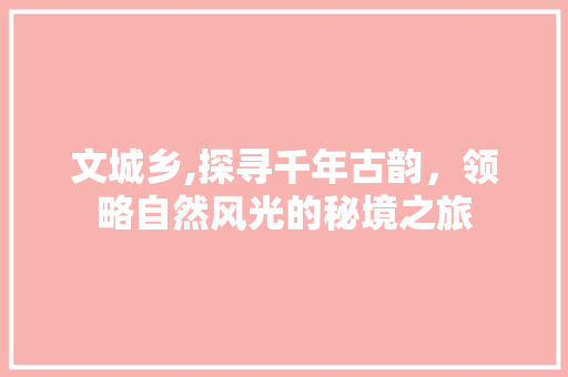文城乡,探寻千年古韵，领略自然风光的秘境之旅