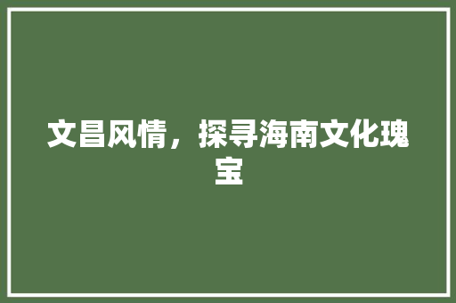 文昌风情，探寻海南文化瑰宝  第1张