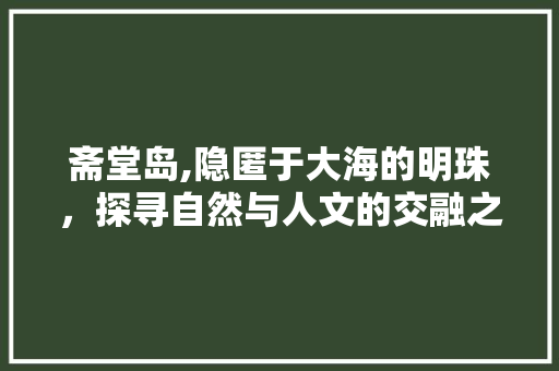 斋堂岛,隐匿于大海的明珠，探寻自然与人文的交融之美