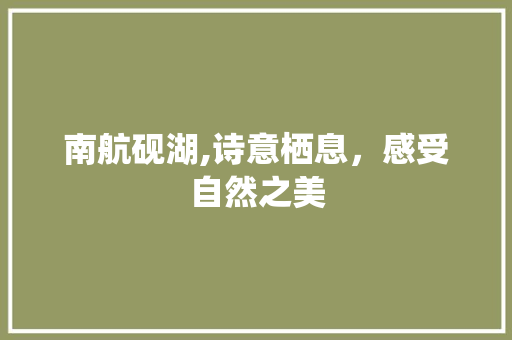 南航砚湖,诗意栖息，感受自然之美  第1张