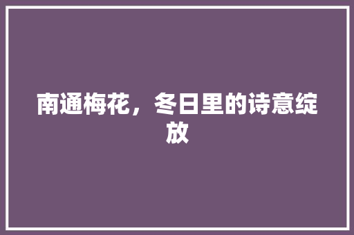 南通梅花，冬日里的诗意绽放  第1张