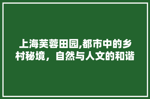 上海芙蓉田园,都市中的乡村秘境，自然与人文的和谐交响