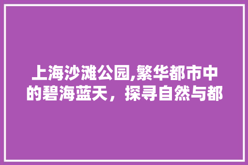 上海沙滩公园,繁华都市中的碧海蓝天，探寻自然与都市的和谐共鸣  第1张
