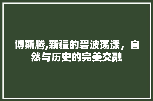 博斯腾,新疆的碧波荡漾，自然与历史的完美交融