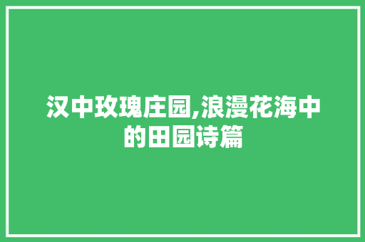 汉中玫瑰庄园,浪漫花海中的田园诗篇