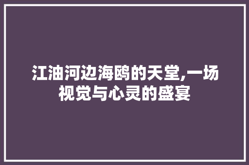 江油河边海鸥的天堂,一场视觉与心灵的盛宴  第1张