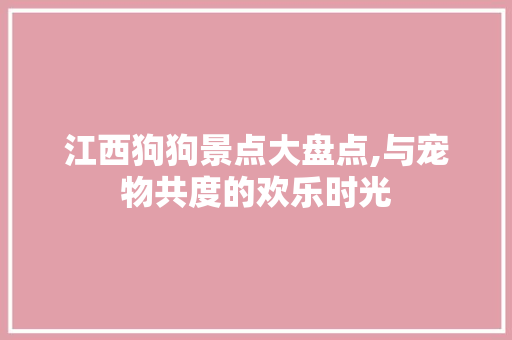 江西狗狗景点大盘点,与宠物共度的欢乐时光